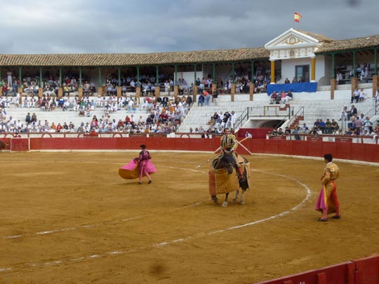 ALICIA OTAEGUI _ el bucanero torero 