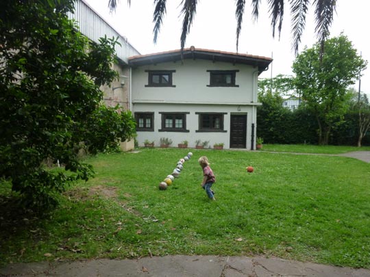  ALICIA OTAEGUI _ el linier 