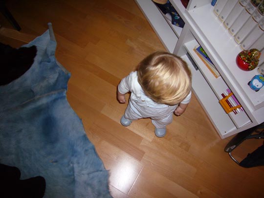  ALICIA OTAEGUI _ el niño menguante 