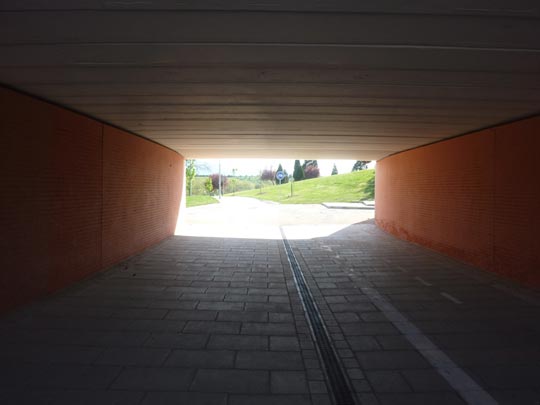  ALICIA OTAEGUI _ el túnel y la luz del final 