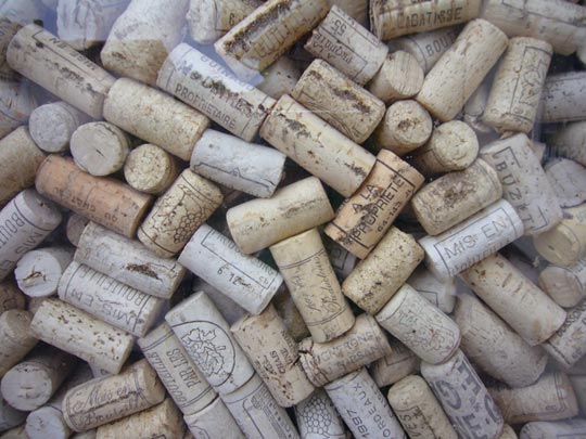  ALICIA OTAEGUI _ elogio a baco 