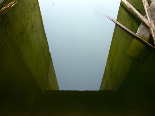  ALICIA OTAEGUI _ espejísisimo 