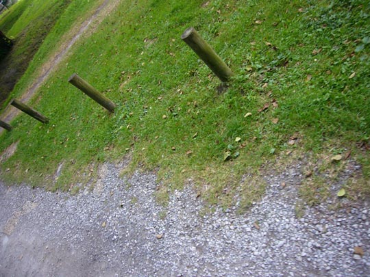  ALICIA OTAEGUI _ estacada 