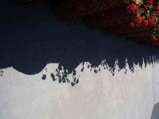  ALICIA OTAEGUI _ flequillo 