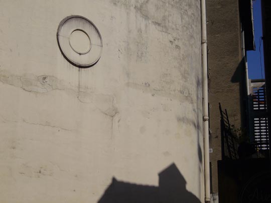  ALICIA OTAEGUI _ fósil 