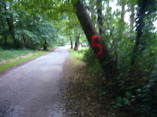  ALICIA OTAEGUI _ fuera de foco 