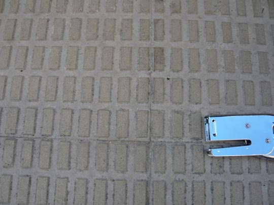  ALICIA OTAEGUI _ grrrguau! 