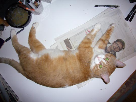  ALICIA OTAEGUI _ in fraganti 