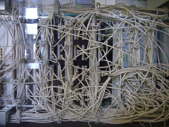  ALICIA OTAEGUI _ intestinos delgados 