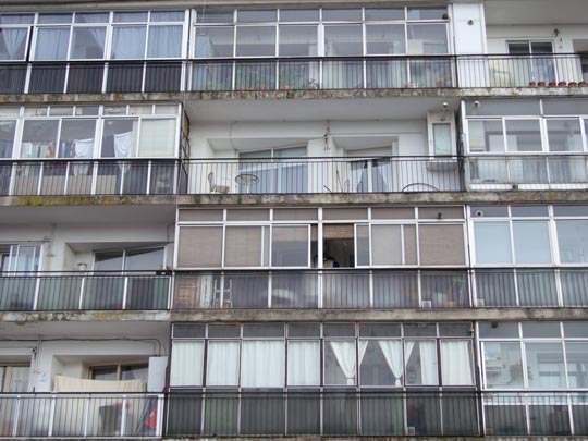  ALICIA OTAEGUI _ la colmena 