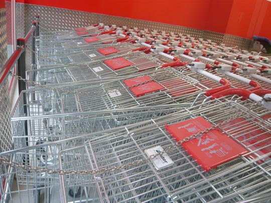  ALICIA OTAEGUI _ la crisis 