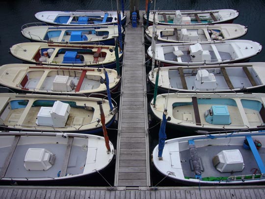  ALICIA OTAEGUI _ la última cena 