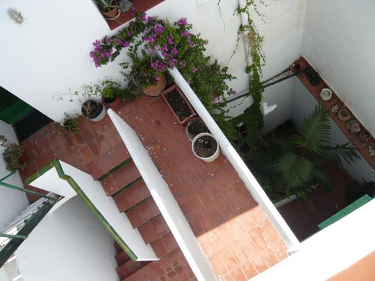  ALICIA OTAEGUI _ laberinto 