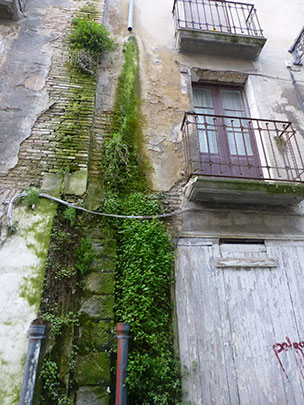  ALICIA OTAEGUI _ la casa del bosque 