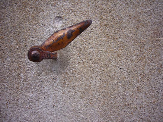  ALICIA OTAEGUI _ liebre 