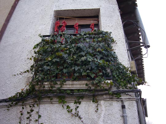  ALICIA OTAEGUI _ llegó la navidad 