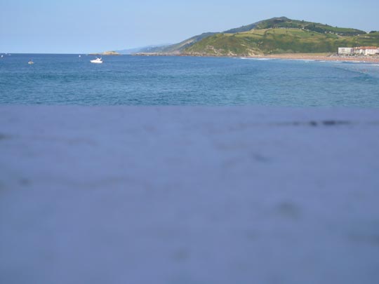  ALICIA OTAEGUI _ marea alta 