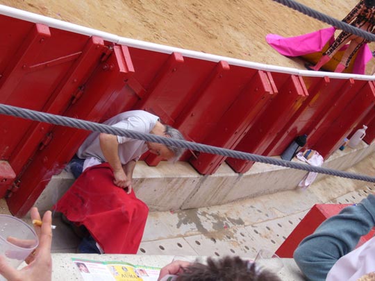  ALICIA OTAEGUI _ menuda faena menuda 