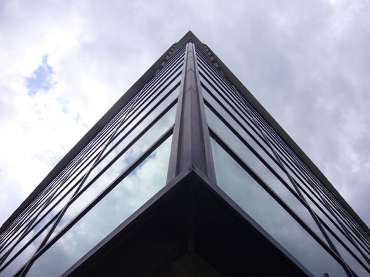  ALICIA OTAEGUI _ mirando al cielo 