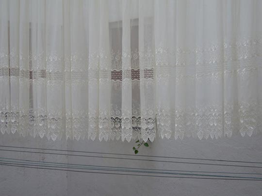  ALICIA OTAEGUI _ muro cortina 