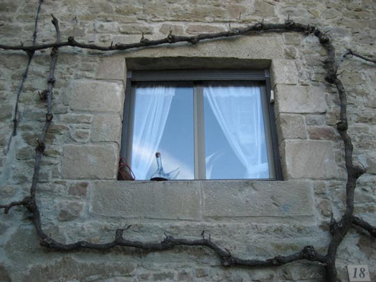  ALICIA OTAEGUI _ museo del vino 