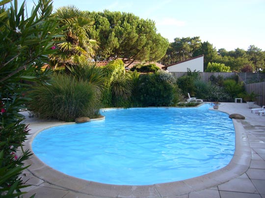  ALICIA OTAEGUI _ oasis 