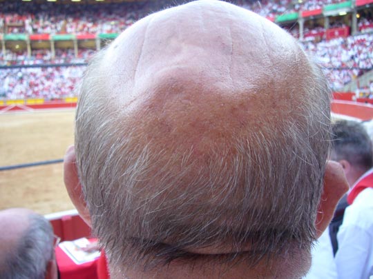  ALICIA OTAEGUI _ orejas y ruedo 