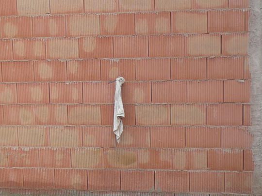  ALICIA OTAEGUI _ habemus papa! 