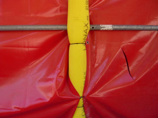  ALICIA OTAEGUI _ patata frita con ketchup 