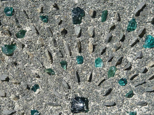  ALICIA OTAEGUI _ pavo real 