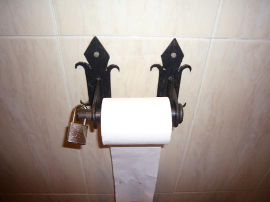  ALICIA OTAEGUI _ pergamino blindado 