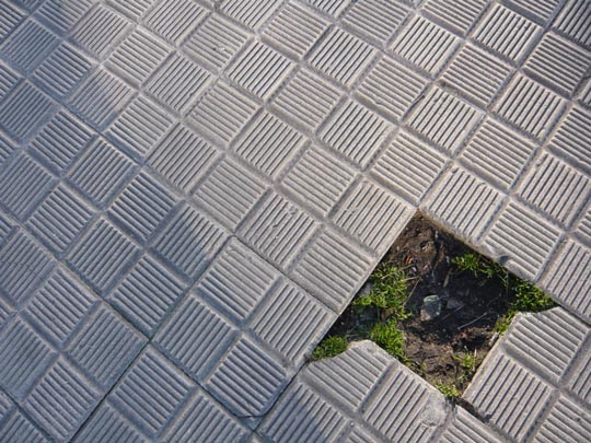  ALICIA OTAEGUI _ petit jardin 