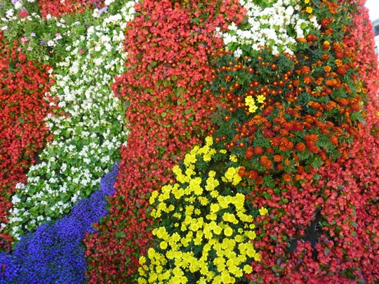  ALICIA OTAEGUI _ policromía floral 
