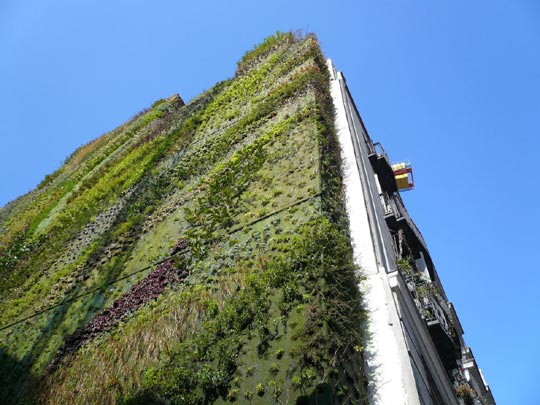  ALICIA OTAEGUI _ rascacielos con huerta 