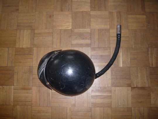  ALICIA OTAEGUI _ ratón 