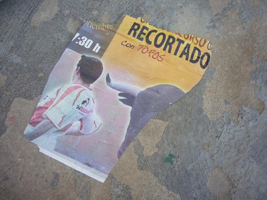  ALICIA OTAEGUI _ redundancia 