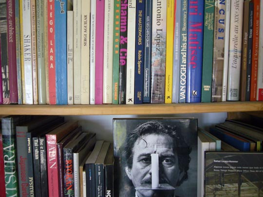  ALICIA OTAEGUI _ santuario 