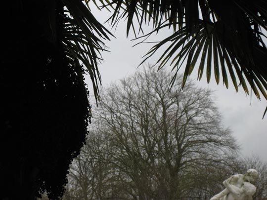  ALICIA OTAEGUI _ se aman 