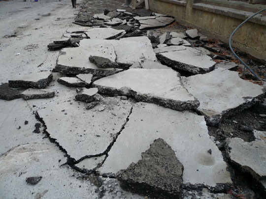  ALICIA OTAEGUI _ se cabreó la lombriz 