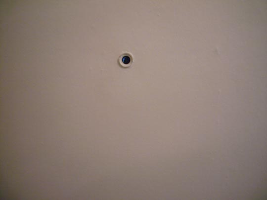  ALICIA OTAEGUI _ selector de personal 