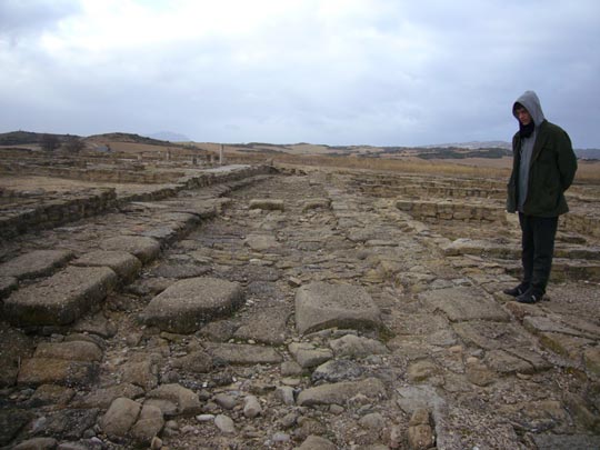  ALICIA OTAEGUI _ semáforus en roji 