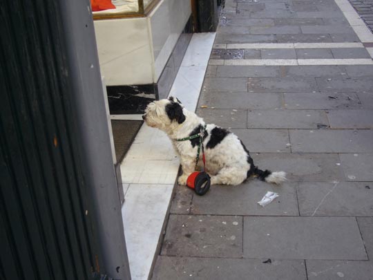  ALICIA OTAEGUI _ siempre lo hará 