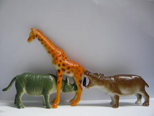  ALICIA OTAEGUI _ solicitada 