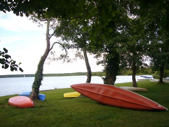  ALICIA OTAEGUI _ sosiego 