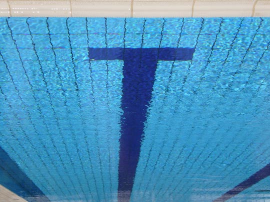  ALICIA OTAEGUI _ té de verano 