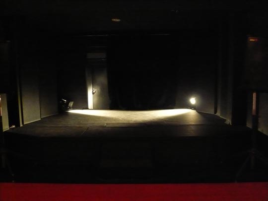  ALICIA OTAEGUI _ teatro de sombras 