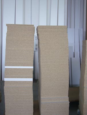  ALICIA OTAEGUI _ torres siamesas 