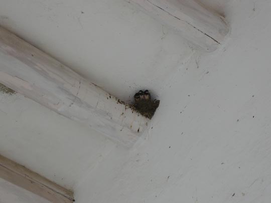  ALICIA OTAEGUI _ trío de solistas 