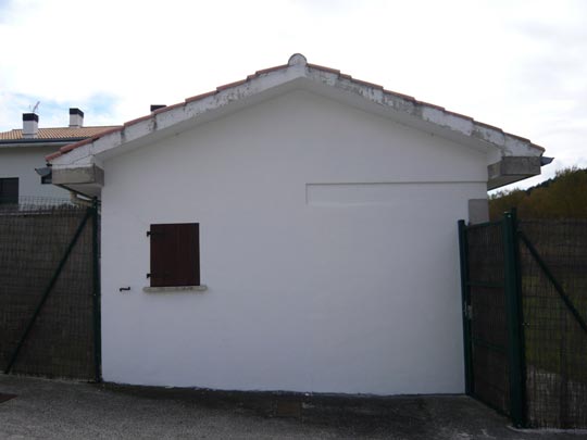  ALICIA OTAEGUI _ tuerta 