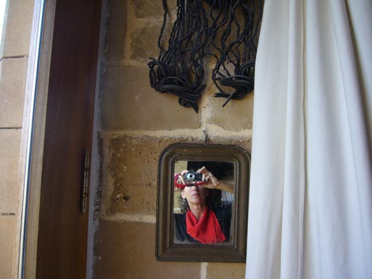  ALICIA OTAEGUI _ venus del uniojo 